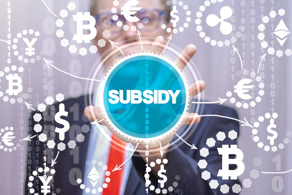 Subsidies 2021